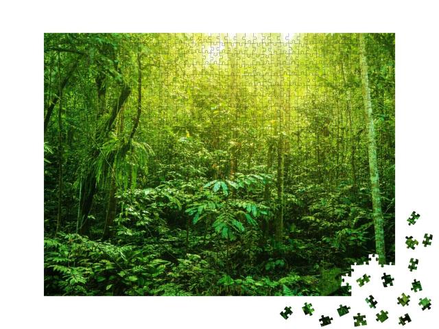 Puzzle de 1000 pièces « La forêt tropicale et sa diversité verte »