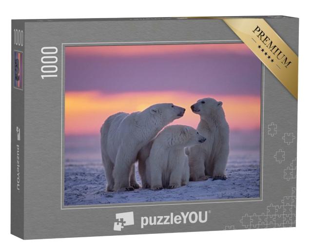 Puzzle de 1000 pièces « Famille d'ours polaires au coucher du soleil dans l'Arctique canadien »