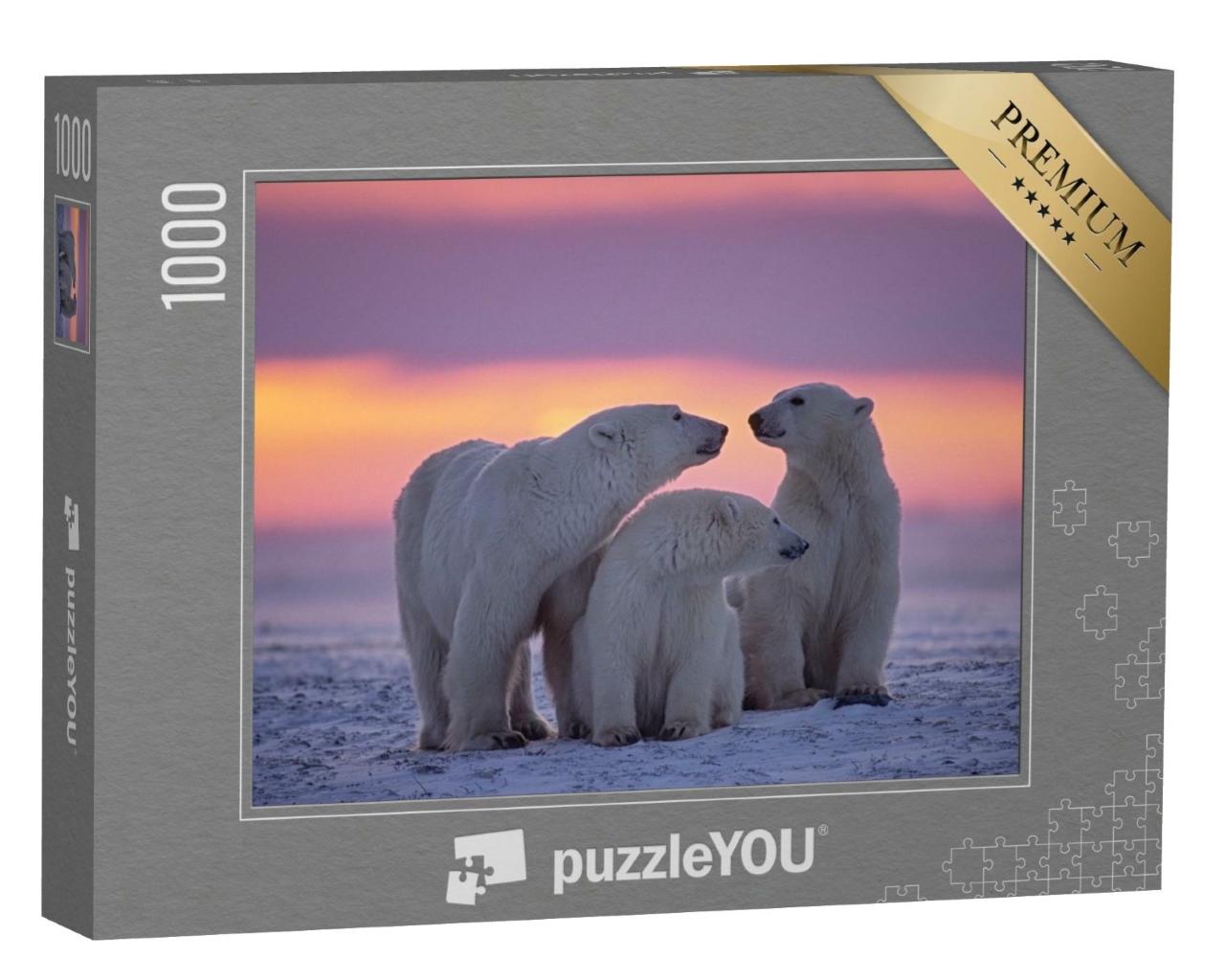 Puzzle de 1000 pièces « Famille d'ours polaires au coucher du soleil dans l'Arctique canadien »