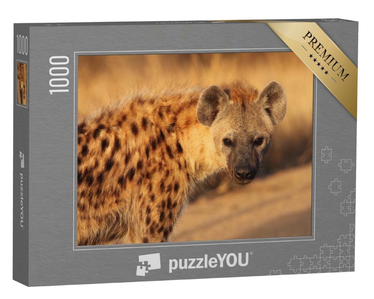 Puzzle de 1000 pièces « Gros plan sur une hyène tachetée »