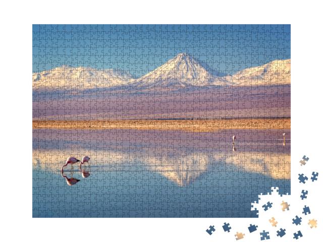 Puzzle de 1000 pièces « Volcan Licancabur et Laguna Chaxa, Chili »