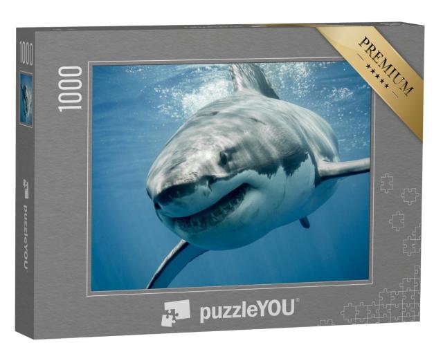 Puzzle de 1000 pièces « Requin blanc »