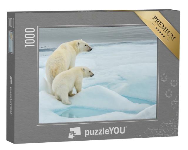 Puzzle de 1000 pièces « Mère et ourson polaires sur une banquise de l'océan Arctique, Norvège »