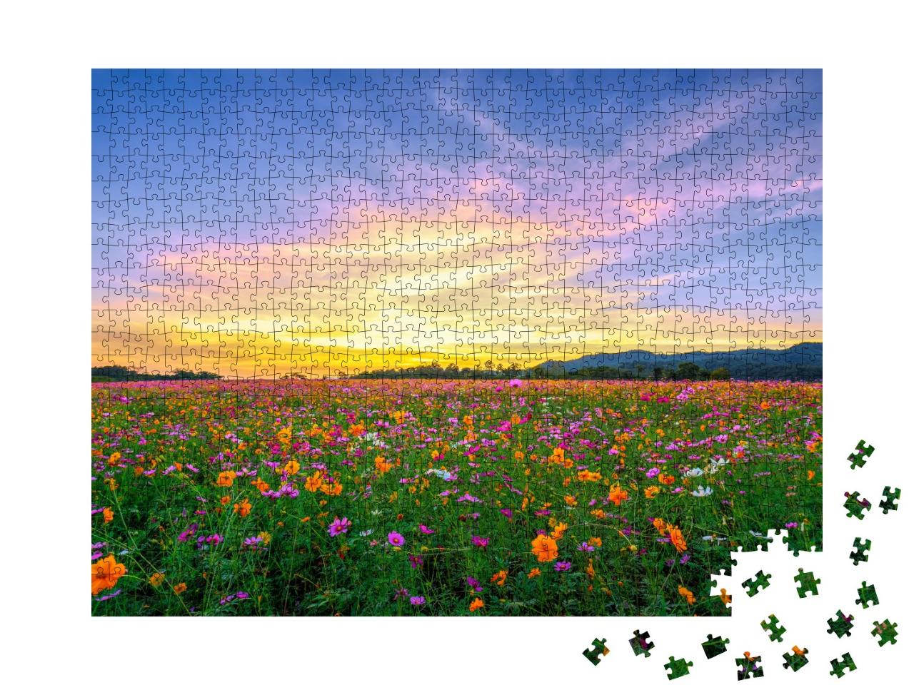 Puzzle de 1000 pièces « Un champ de cosmos roses »
