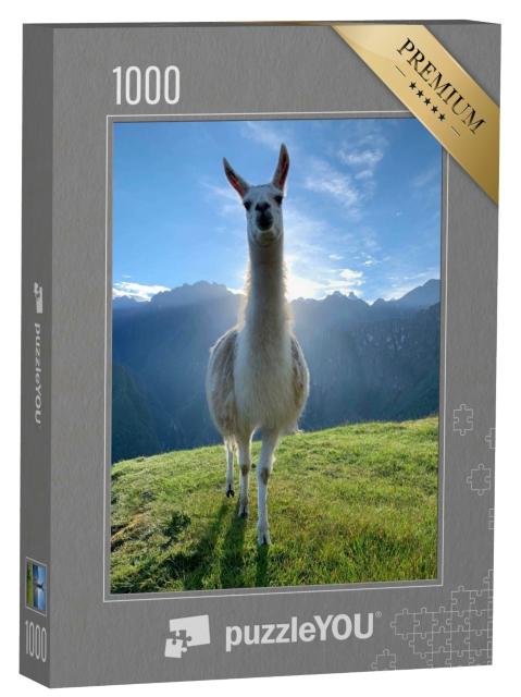Puzzle de 1000 pièces « Lama blanc dans les Andes, Pérou »