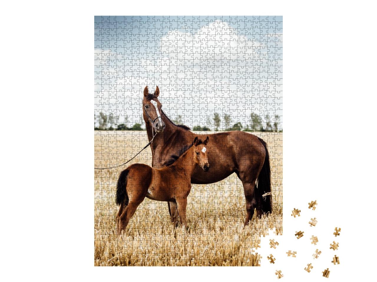 Puzzle de 1000 pièces « Magnifique jument alezane avec son poulain »