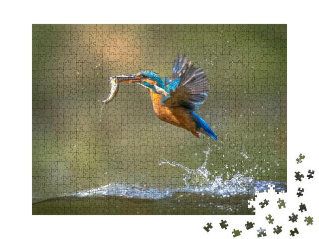 Puzzle de 1000 pièces « Un martin-pêcheur avec un poisson dans le bec fait son apparition »