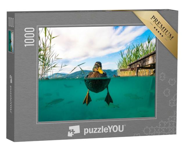 Puzzle de 1000 pièces « Image sous-marine d'un canard, Autriche »