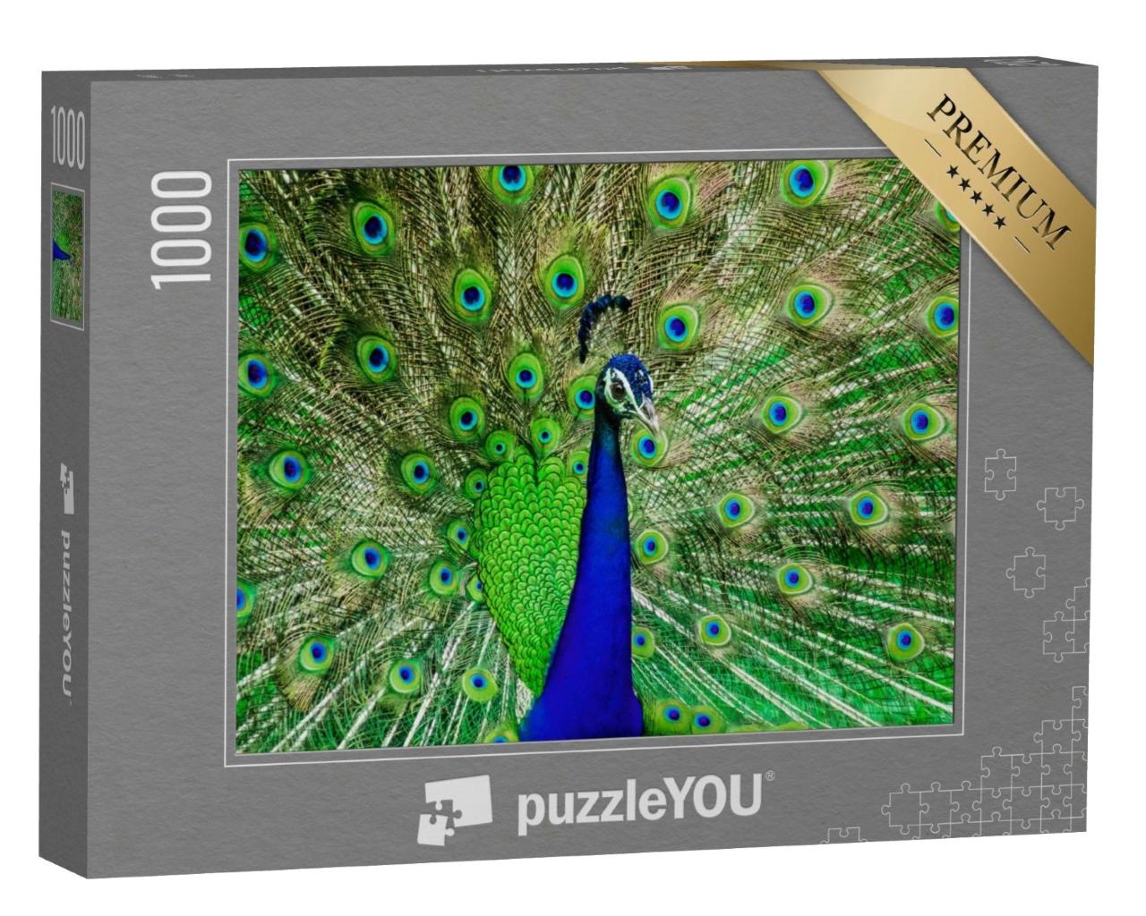 Puzzle de 1000 pièces « Les couleurs d'un paon à l'état sauvage »