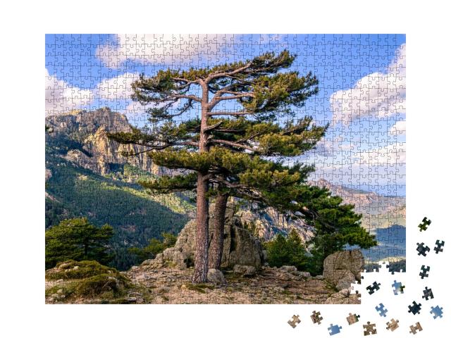 Puzzle de 1000 pièces « Pins devant les pics rocheux des "Aiguilles de Bavella" en granit rouge - Monte Cinto, Corse »
