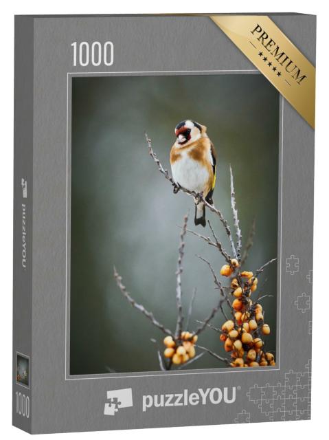 Puzzle de 1000 pièces « Le chardonneret élégant, un oiseau chanteur »