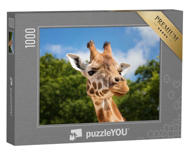 Puzzle de 1000 pièces « Girafe curieuse »
