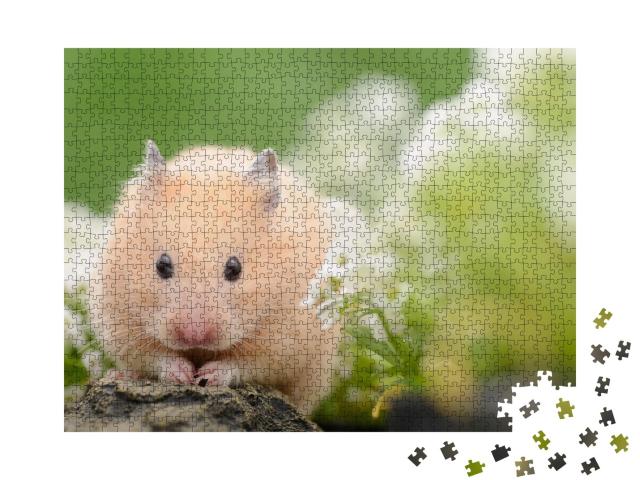 Puzzle de 1000 pièces « hamster doré »