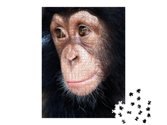 Puzzle de 1000 pièces « Gros plan sur un singe mixte »