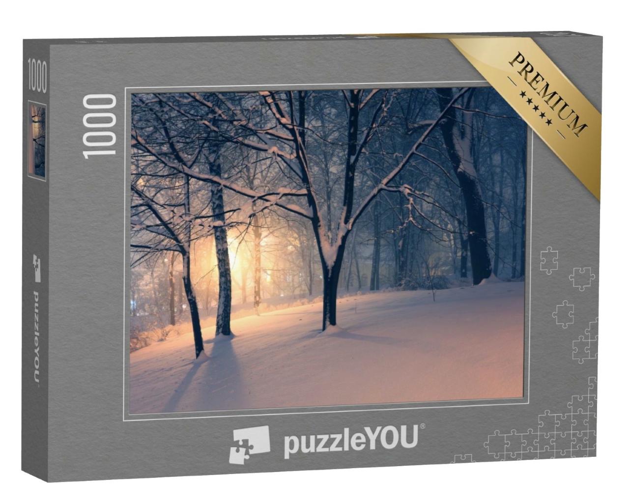 Puzzle de 1000 pièces « Soirée d'hiver dans le parc »