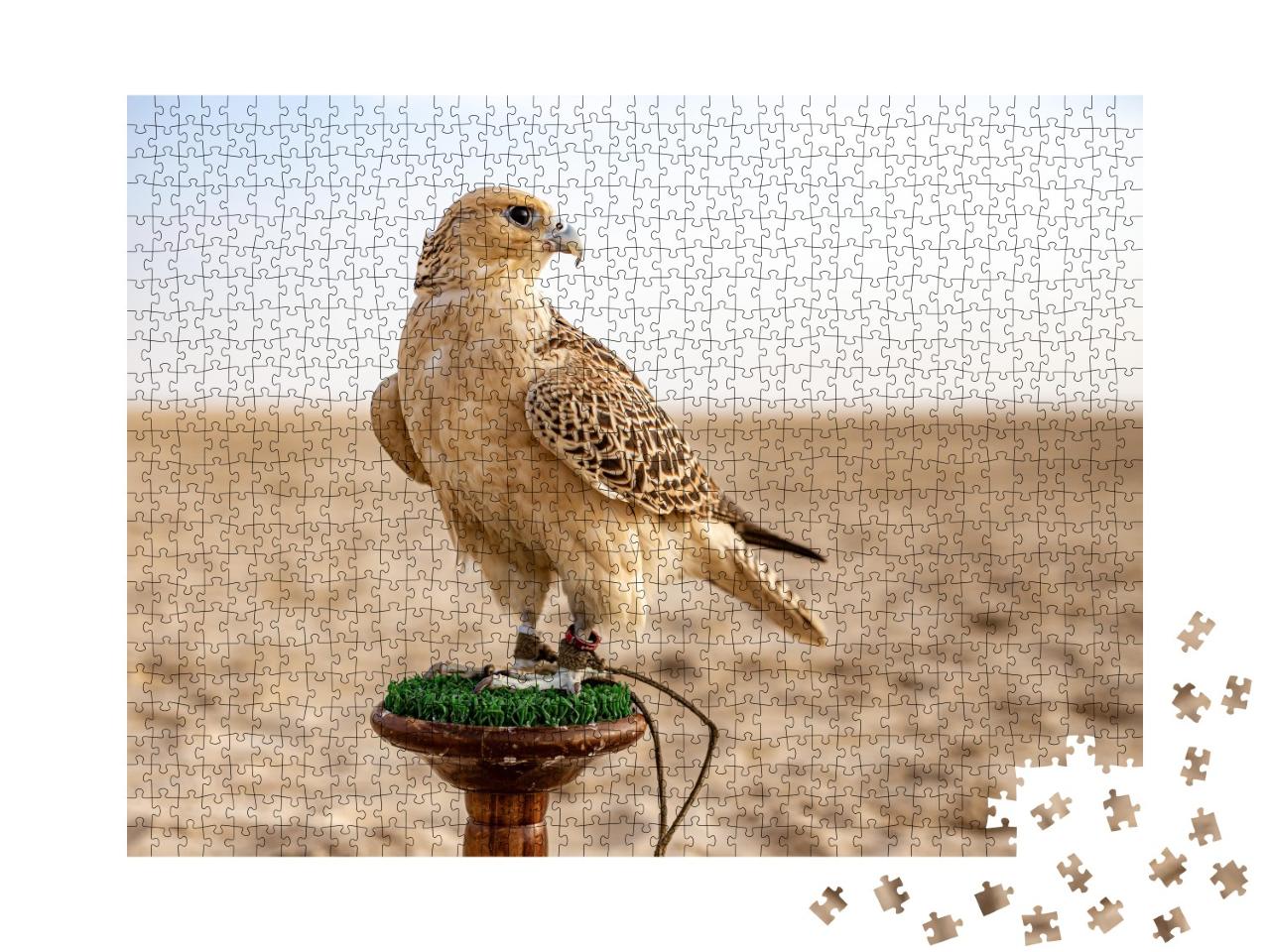 Puzzle de 1000 pièces « Un faucon attentif dans le désert »