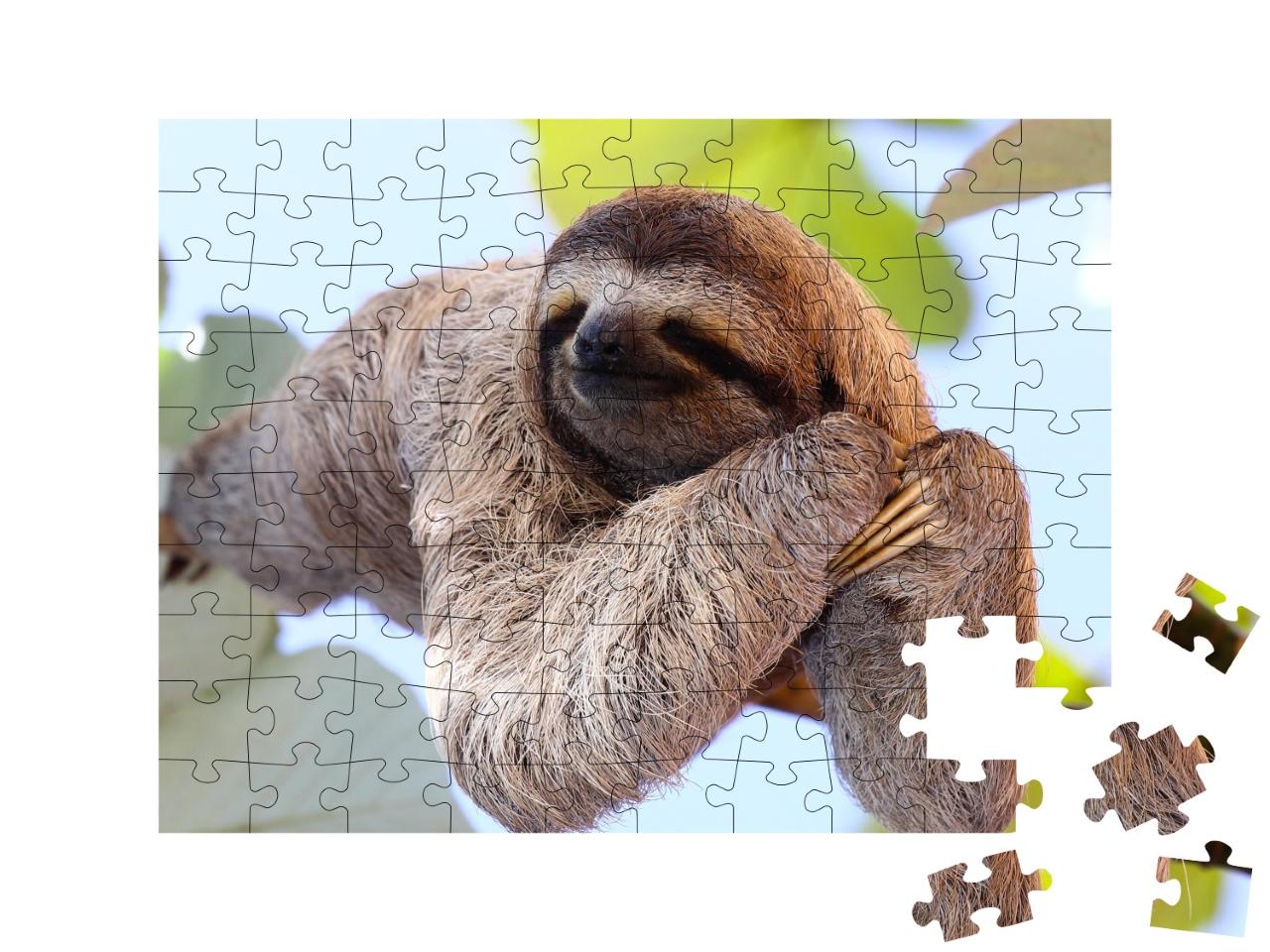 Puzzle de 100 pièces « Un paresseux heureux accroché à un arbre »