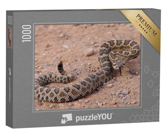 Puzzle de 1000 pièces « Dangereux serpent à sonnettes, enroulé et prêt à attaquer »