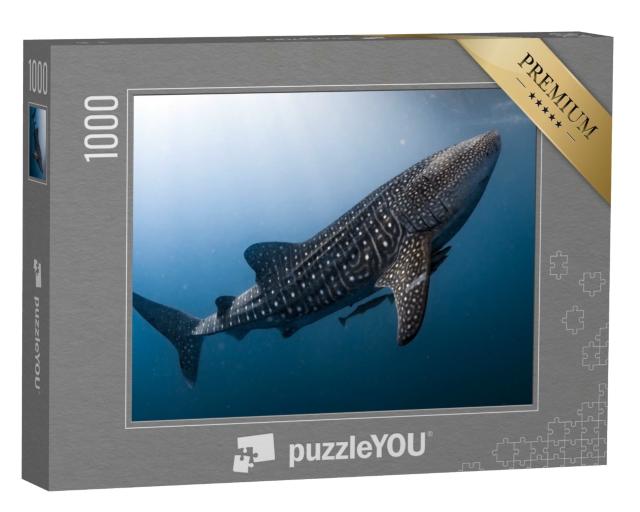 Puzzle de 1000 pièces « Requin baleine en Papouasie »
