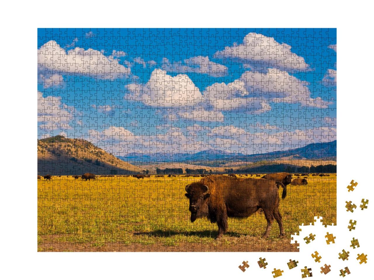 Puzzle de 1000 pièces « Liberté pour les bisons dans le parc national de Yellowstone, USA »