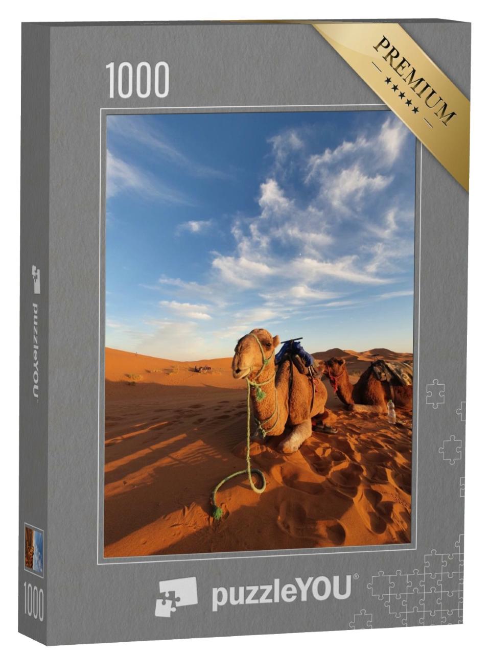 Puzzle de 1000 pièces « Chameau dans le désert du Sahara marocain »
