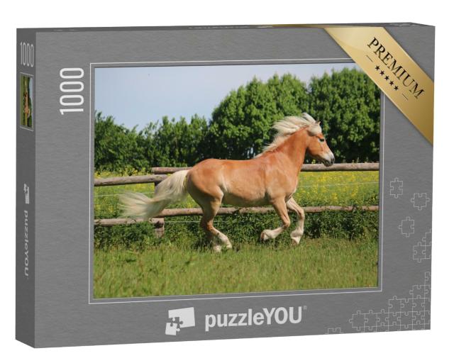 Puzzle de 1000 pièces « Magnifique cheval Haflinger au paddock »