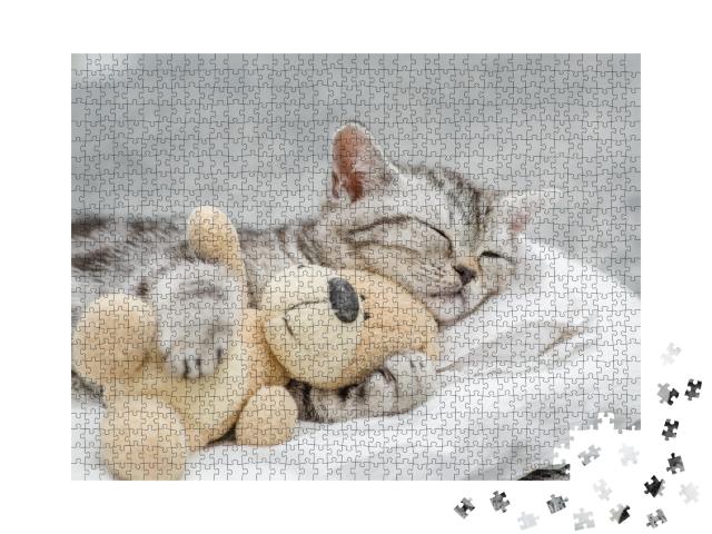 Puzzle de 1000 pièces « Un adorable chaton fait des câlins à un ours en peluche »