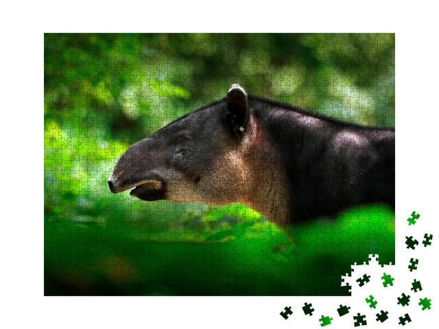 Puzzle de 1000 pièces « Gros plan sur un tapir »