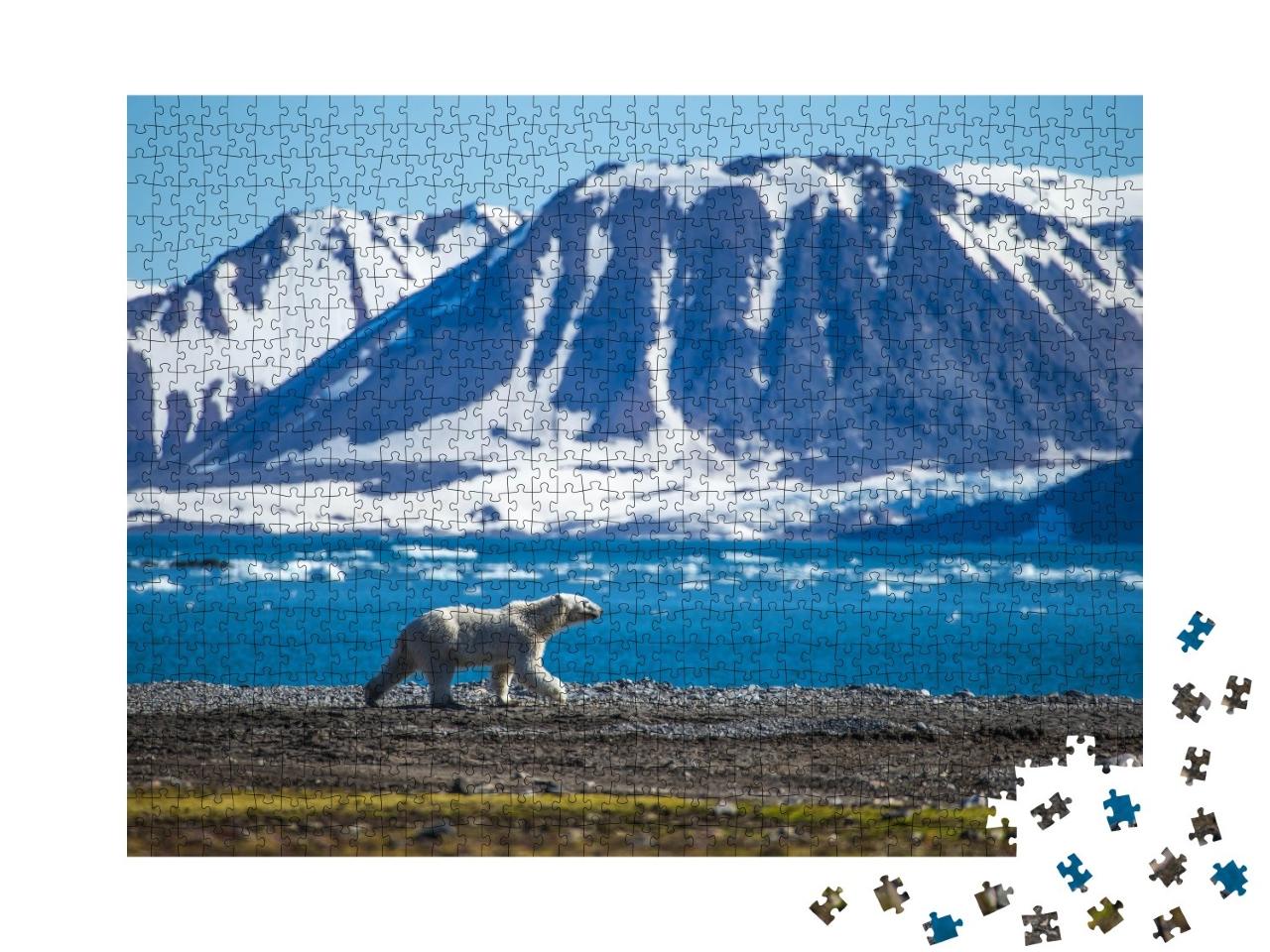 Puzzle de 1000 pièces « Un ours polaire dans le sud du Svalbard »