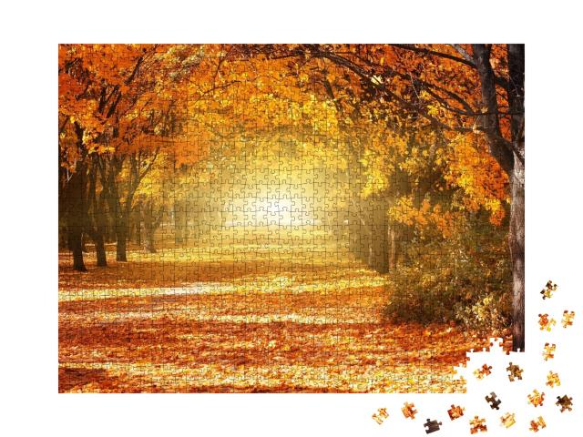Puzzle de 1000 pièces « Allée d'arbres d'automne dorés »
