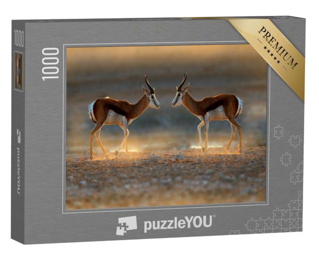 Puzzle de 1000 pièces « Antilope springbok au coucher du soleil, Namibie »