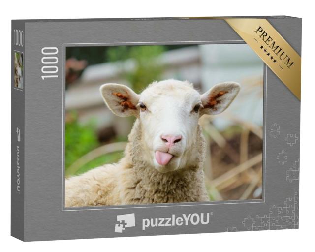 Puzzle de 1000 pièces « Portrait d'un mouton »