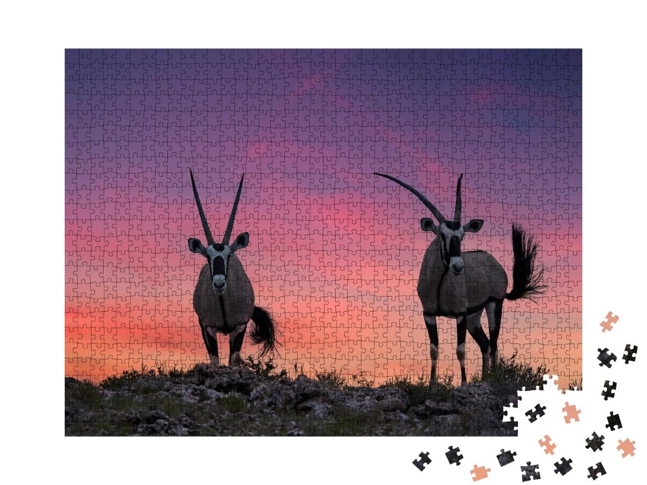 Puzzle de 1000 pièces « Deux grandes antilopes aux cornes spectaculaires, Kalahari »