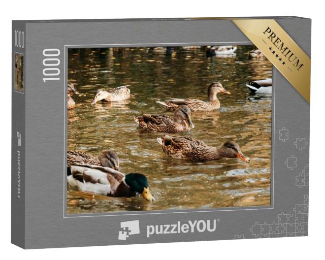 Puzzle de 1000 pièces « Une grande volée de canards mange du pain sur le lac »
