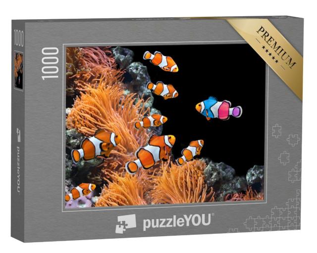 Puzzle de 1000 pièces « Banc de poissons-clowns standard et un poisson multicolore »