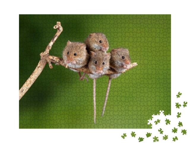Puzzle de 1000 pièces « Quatre adorables souris sur une toute petite branche »