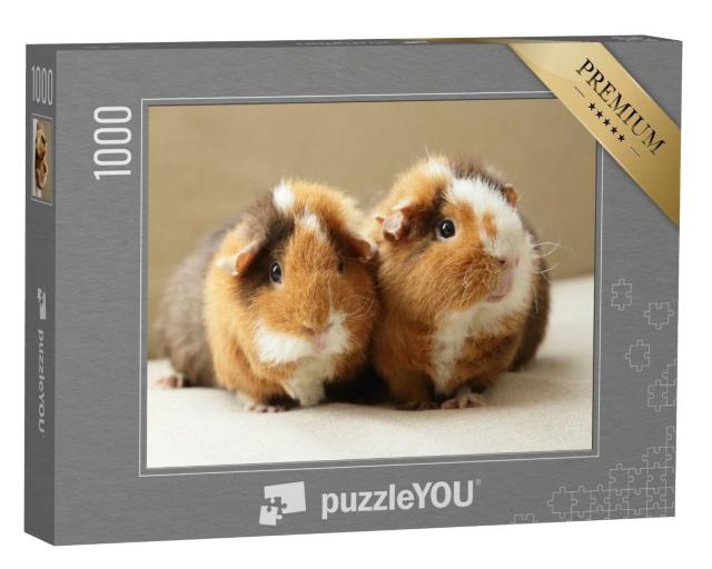 Puzzle de 1000 pièces « Deux adorables cochons d'Inde »