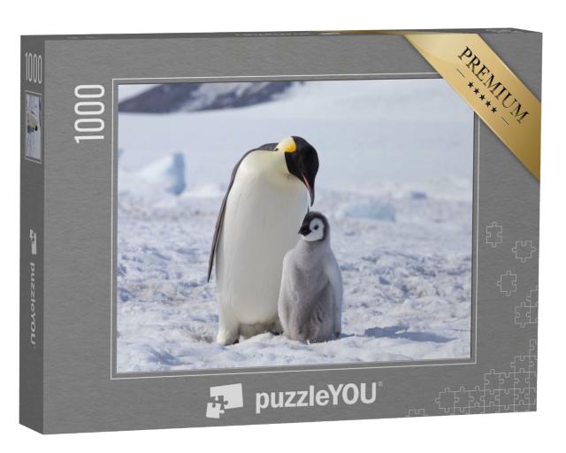 Puzzle de 1000 pièces « Un manchot empereur et son poussin, Antarctique »