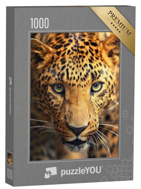 Puzzle de 1000 pièces « Face à face avec un léopard »
