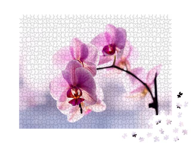 Puzzle de 1000 pièces « Magnifique orchidée délicate en rose »