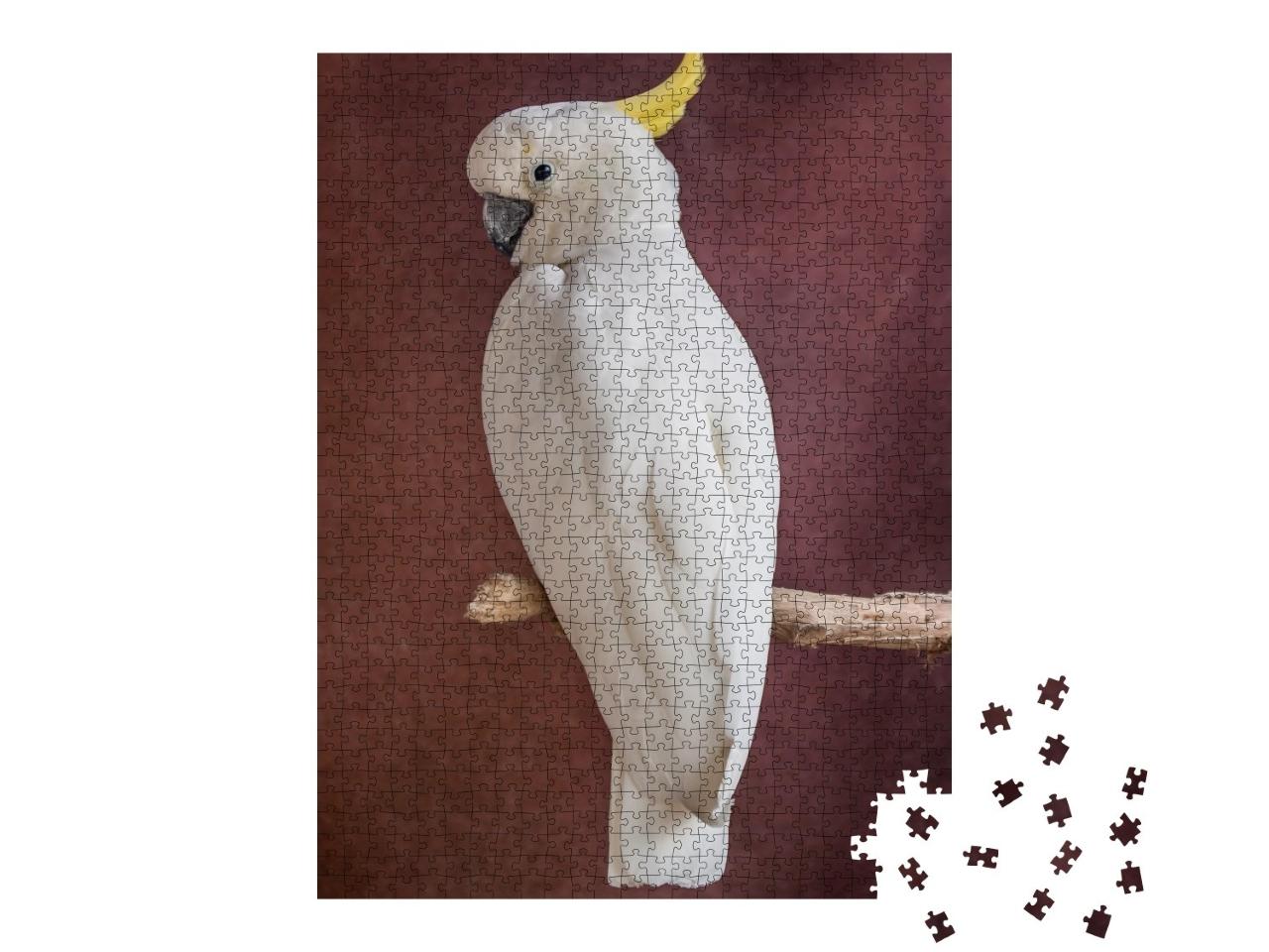 Puzzle de 1000 pièces « Perroquet blanc sur une branche »