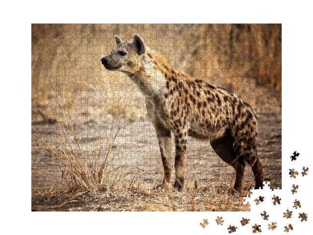 Puzzle de 1000 pièces « Hyène dans le parc national de Luangwa en Zambie »
