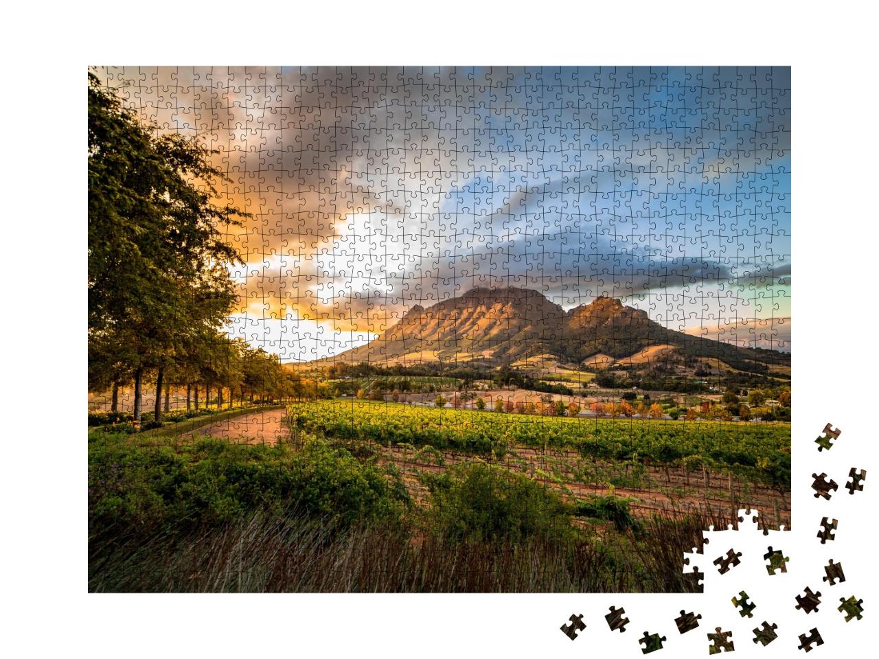 Puzzle de 1000 pièces « Région viticole de Stellenbosch avec vue sur le Simonsberg, Afrique du Sud »