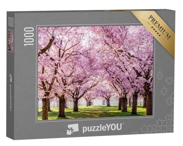 Puzzle de 1000 pièces « Allée de cerisiers en fleurs Sakura dans un parc magnifique »