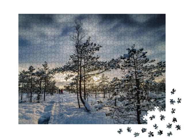 Puzzle de 1000 pièces « Merveilleux hiver, Parc national des Carpates, Ukraine »