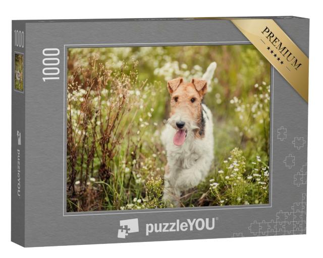 Puzzle de 1000 pièces « Fox-terrier dans la nature »