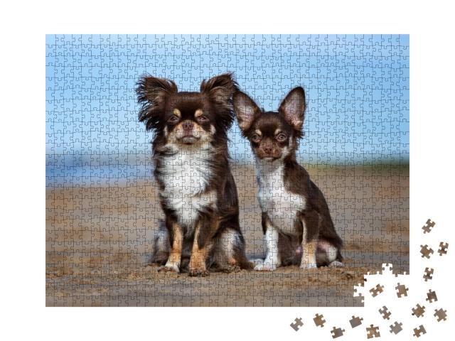 Puzzle de 1000 pièces « Chihuahua et chiot à l'extérieur »