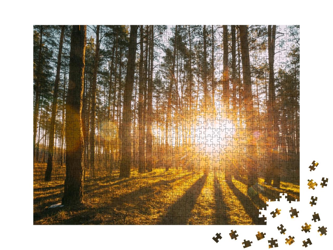 Puzzle de 1000 pièces « Rayons de soleil dans la forêt »