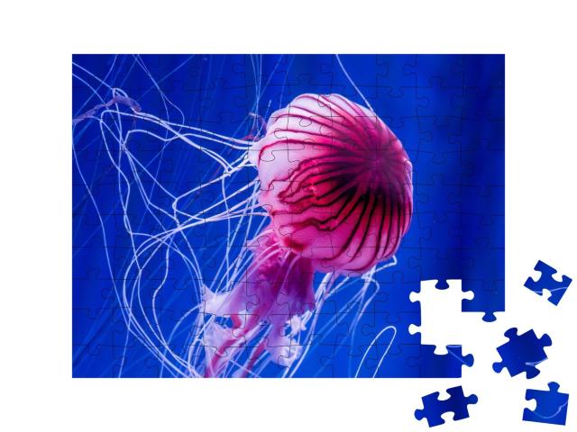Puzzle de 100 pièces « Méduse rose sur fond de mer bleue »
