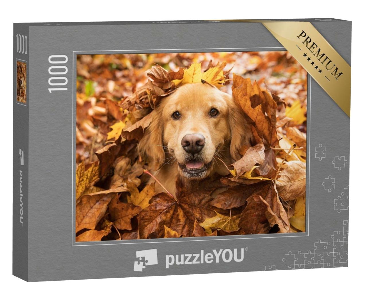 Puzzle de 1000 pièces « Golden Retriever, caché dans les feuilles d'automne »